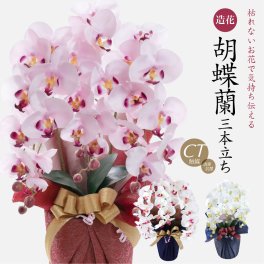 【母の日 花 胡蝶蘭 造花 お祝い】胡蝶蘭 大輪 3本立ち CT触媒 光触媒【ギフト 誕生日 プレゼント 開店 開院祝い お見舞い アートフラワー】[md][kd]