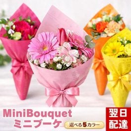ミニブーケ 生花  卒園 卒業 切り花 卒業式 対応商品  プレゼント 宅配 花 花束 誕生日 フラワーギフト 結婚記念日 切花 長持ち 自宅用 ブーケ お花 手作り生花 お供え 花束プレゼント 花束用 袋 お悔やみ 犬