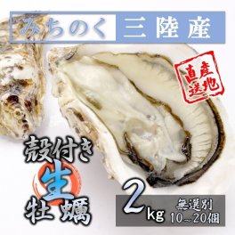 生食OK カキ みちのく 三陸産 殻付き 生牡蠣 2kg（10～20個）今季初出し 希少 ワケあり 数量限定 お届け指定可能 亜鉛No.1 新鮮 石巻 産地直送 ミネラル アミノ酸 たっぷり 焼く 鍋 かき フライ 様々なお料理にも 魚介類