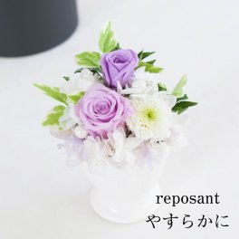 プリザーブドフラワー 仏花 ミニ 仏壇用 小さい お供え 花 【ルポゾン】 フラワー アレンジメント パープル 紫 お悔やみ 四十九日 49日 法事 法要 1周忌 一周忌 初七日 七回忌 命日 おしゃれ お盆 初盆 新盆 ブリザードフラワー プリザードフラワー プリザーブド ギフト メッセージカード 即日発送 送料無料