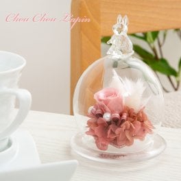 プリザーブドフラワー ガラスドーム ミニ ギフト 友だち 誕生日プレゼント 花 【シュシュラパン】 うさぎ 雑貨 かわいい 母親 女友達 彼女 妻 嫁 祖母 姉 妹 ママ 友 職場 女性 20代 30歳 50代 70歳 開店祝い 結婚祝い 退職祝い 周年祝い 記念日 お祝い インテリア ブリザードフラワ- ブリザードフラワー プリザードフラワー メッセージカード 即日発送 送料無料