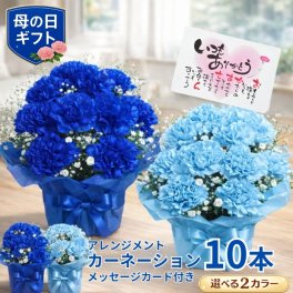 母の日 プレゼント カーネーション 10本 ブルー 豪華 清楚 アレンジ プレゼント 花 ギフト カーネーション 鉢 生花 鉢植え 送料無料 カーネーション お母さん 母 母の日ギフト ギフト 贈り物