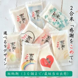 短納期30個まで【2合米】「感謝をこめて」令和7年産山形県産はえぬき 300g 感謝 お礼 お返し 周年 ノベルティ プチギフト