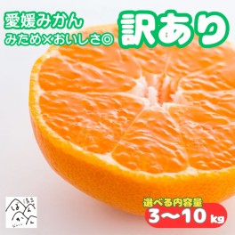 愛媛みかん 訳あり 3kg・5kg・10kg 中玉 みため×おいしさ◎ミカン フルーツ 柑橘 果物 【送料無料※北海道・沖縄除く】
