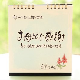 【母の日ギフト】涙を流すお母様続出｜「お母さんに感謝」感動を贈る特別な日めくり｜誕生日・結婚式などにも