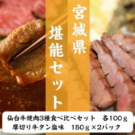 宮城県堪能セット 仙台牛 牛タン 牛肉 焼き肉 セット 600ｇ 3～4人前