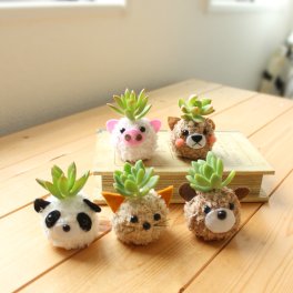 【アニマルS】モスビー 多肉植物 インテリア プレゼント 癒し ギフト 母の日 父の日 クリスマス 敬老の日 かわいい バレンタイン 植物 プレゼント マグネット ねこ ぶた くま まめしば いのしし ねずみ うし とら うさぎ しろくま 動物 観葉植物
