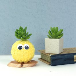 【モスビーシングル】モスビー 多肉植物 インテリア プレゼント 癒し ギフト 母の日 父の日 クリスマス 敬老の日 かわいい バレンタイン 植物 プレゼント 観葉植物