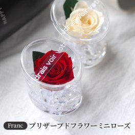 ミニローズ プリザーブドフラワー 薔薇 プレゼント 記念日 お祝い 結婚記念日 お誕生日 結婚祝い 退職祝い 送別会 定年 卒業 発表会 お見舞い フラワーギフト お花 造花 かわいい プレゼントと一緒に プレゼント ギフト