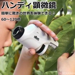顕微鏡 子供 ハンディ顕微鏡 60～120倍 小学生 自由研究 野外観察 趣味 LEDライト内蔵 けんびきょう コンパクト 観察 送料無料