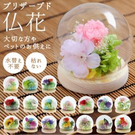 お供え プリザーブドフラワー ガラスドーム 通販 四季 暦  供養 仏花 供え花 献花 ドームタイプ ドーム プリザ 長持ち 飾り かわいい 仏壇用 お盆 進物 法要