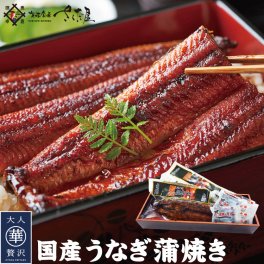 うなぎ蒲焼き 2尾・3尾セット 鰻 ウナギ 国産 土用の丑 美味しい贈物 敬老の日 お歳暮 ギフト