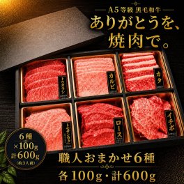A5等級 黒毛和牛 6種焼肉 食べ比べセット（600g）3人前