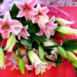 ピンク ゆり 花束 豪華さと香りの百合 フラワーギフト 花 プレゼント 