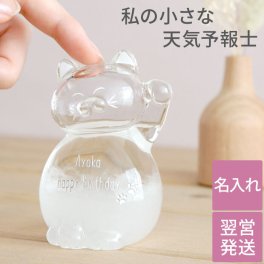 【 送料無料 】【 名入れ 猫のストームグラス 】 誕生日 プレゼント 女性 インテリア 雑貨 小物 おしゃれ 猫 グッズ 名前入り 20代 30代 クリスマス かわいい 女友達 結婚 引っ越し 新築 祝い お祝い 名入り ギフト 人気