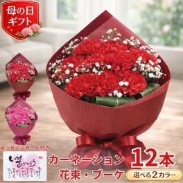 母の日 プレゼント カーネーション 花束 ブーケ 母の日 花束 ブーケ プレゼント 花 ギフト カーネーション 生花 カーネーション 送料無料 お母さん 母 母の日ギフト ギフト 贈り物 送料無料