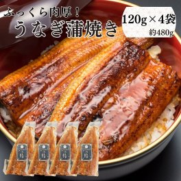 うなぎ蒲焼き 約120g×4袋 合計約480g 父の日 うなぎギフト 土用の丑の日 中国産うウナギ 鰻 食べ物 高級 グルメ 食品 誕生日 お返し お祝い 快気祝い 退職祝い お礼 うなぎ小分け 少量サイズ 鰻のかばやき