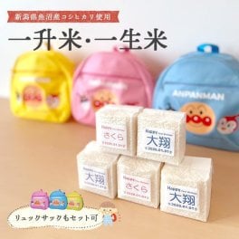 一升米 一生米 アンパンマン バイキンマン ドキンちゃん 誕生日 プレゼント 小分け 男の子 女の子 赤ちゃん ベビー baby リュック 名入れ 名前入り 一升餅 一生餅 送料無料 即日発送 【正規品】【ギフト包装】【熨斗】