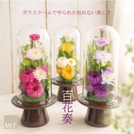 ブリザード　プリザーブドフラワー お供え花　「百花奏ひゃっかそう」