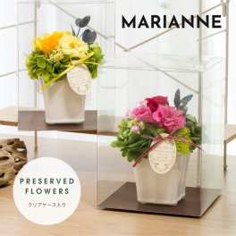 プリザーブドフラワー ギフト 友だち 誕生日プレゼント 花 【マリアンヌ】 クリアケース入り 母親 女友達 彼女 妻 嫁 祖母 姉 妹 ママ 友 女性 20代 30歳 50代 70歳 還暦 古希 結婚祝い 退職祝い 結婚記念日 周年祝い 記念日 お祝い アレンジ かわいい ブリザードフラワー 母の日 敬老の日 クリスマス ブリザードフラワー メッセージカード 即日発送 送料無料
