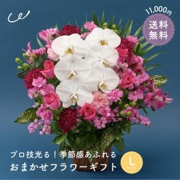 【プロ技光る】季節感あふれるフラワーギフトL 生花 10000円台 送料込み 胡蝶蘭 シンビジウム シンビジューム 誕生日 花 ギフト プレゼント女性 送料無料 女性 アレンジメント プレゼント 即日発送 お祝い 花束 ブーケ プレゼント 結婚記念日 結婚祝い 開店祝い 定年 退職祝い おまかせ フラワー 