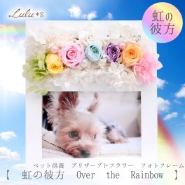 【 虹の彼方 Over the Rainbow 】 写真立て プリザーブドフラワー パステルローズ フォトフレーム L判 ペット メモリアル お供え 仏花 犬 猫 うさぎ ハムスター お悔やみ 遺影 初盆 お盆 命日 四十九日 ルルズ Lulu＊s