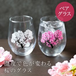 丸モ高木陶器 冷感桜 丸モ高木陶器 フリーグラスペアセット 酒器 グラス 冷酒グラス 冷酒 日本酒 ラッピング メッセージカード ギフト ペアギフト 誕生日 結婚祝い ギフト 父の日 2026 プレゼント