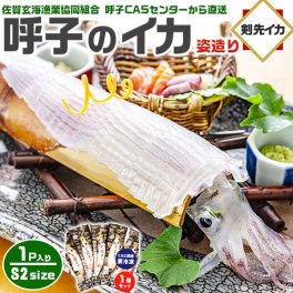 旅サラダ TVで紹介／ 呼子のイカ｜呼子 剣先いか姿造り（S2サイズ）× 合計1P | 約150～199g（1個あたり） CAS凍結 高級 剣先いか イカそーめん お刺身 天ぷらでも 姿造り 呼子漁港直送