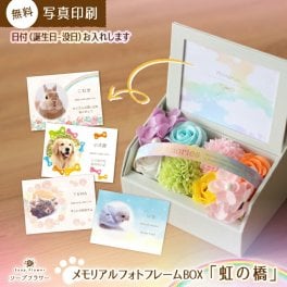 メモリアルフォトフレームBOX『虹の橋』ソープフラワー シャボン フレグランス ボックス ペット お供え お悔み 花 造花 枯れない花 プリザーブド 仏花 写真立て お彼岸 お盆 供養 献花 供花 命日 一周忌 法要 仏壇用 四十九日 仏具 犬 ねこ うさぎ 鳥 ハムスター