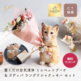 置くだけ空気清浄 ミニペットブーケ ゴディバクッキー  ギフト プレゼント CT触媒 造花 フラワー アレンジメント 置物 オブジェ インテリア 玄関 リビング GODIVA ラングドシャ 猫 犬 ウサギ 動物 アニマル 花束 ブーケ 誕生日 還暦 古希 喜寿 結婚祝い 新築祝い 記念日 贈り物 おしゃれ かわいい 癒しグッズ 消臭 抗菌 人気 即日発送 ザワウ
