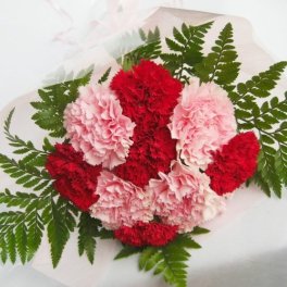 赤とピンクのカーネーションの花束・母の日に