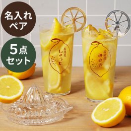 【 送料無料 】【 名入れ レモン絞り器 マドラー付き レモンサワー ペアグラスセット 】 グラス レトロ おしゃれ 誕生日プレゼント 友達 レモンサワーグラスセット 結婚祝い ペアグラス 名前入り 名 名前 20代 30代