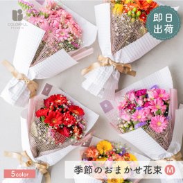 季節のおまかせ 花束Mサイズ ブーケ 韓国ラッピング 花束 生花 花市場から直送 ガーベラ バラ カーネーション お祝い 誕生日 記念日