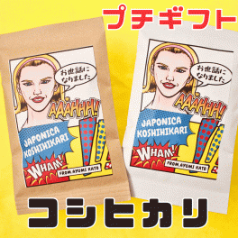 プチギフト 粗品 結婚式 おしゃれ 送別の品 転勤 お米 可愛い 安い 退職 産休 縁起物 