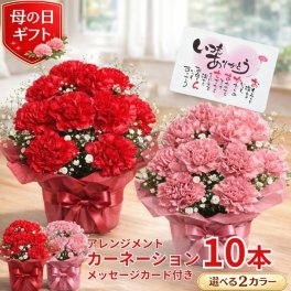 母の日 プレゼント カーネーション 10本　アレンジメント カーネーションアレンジ プレゼント 花 ギフト カーネーション 鉢 生花 鉢植え 送料無料 カーネーション お母さん 母 母の日ギフト ギフト 贈り物