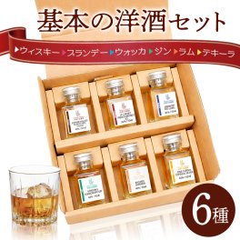 【基本の洋酒】飲み比べ ミニボトル 6本 セット ウォッカ ジン ラム テキーラ ウィスキー ブランデー 小瓶 50ml 小分け お試し プレゼント ギフト