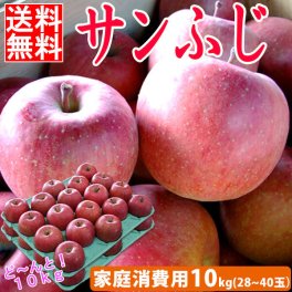 【家庭消費用】サンふじ 約10kg前後 28個～40個入 送料無料 りんご 10kg 訳あり 訳アリ 青森 産地直送 サンフジ 家庭用