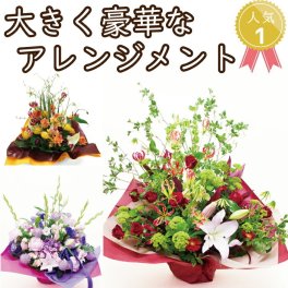 アレンジメント　選べる色合い　10000円 　ラッピング無料　お祝い　開店祝い　開業祝い　移転祝い　昇進　就任　還暦　フラワーギフト プレゼント　お花のプレゼント