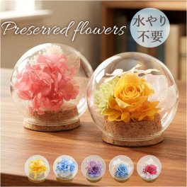 プリザーブドフラワー ガラスドーム 通販 ブリザーブドフラワー フラワーギフト 花 ブリザードフラワー おしゃれ かわいい 贈り物 ギフト 結婚祝い 誕生日 結婚記念日 お祝い 還暦祝い 退職祝い 結婚式 女性 妻 還暦 米寿 古希 お供え 両親