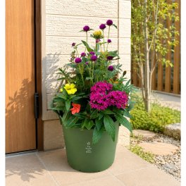 季節の寄せ植え La nature ハンドリーポット 内径24cm （グリーン・4色展開）６～7種類のお花で構成 鉢植え ラッピング不可 ギフトメッセージOK