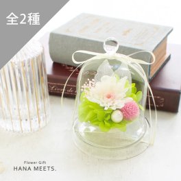 葵音（あのん）プリザーブドフラワー ガラスドーム  11時まで即日出荷（営業日） ガラス ミニ プチギフト アレンジ プレゼント 一輪   和花 和風 菊 マム かわいい 誕生日 贈り物 おしゃれ 母の日 友達 結婚式  お祝い 送別 退職 離任 開店祝 新築祝  卒業 記念 お返し お供え ペット イベント 送料無料