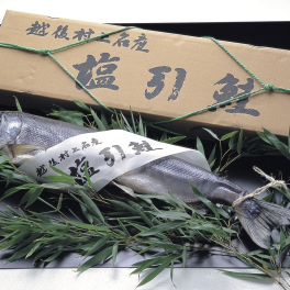 越後村上名産 塩引鮭 一本物(仕上り1.7kg前後) 【送料無料】【新潟 小針水産】