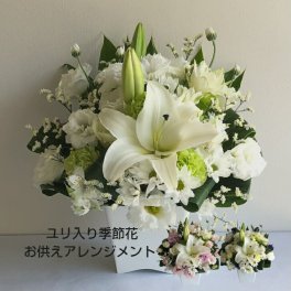 お供え 花 生花 アレンジメント 季節花 ユリ 初盆 法事 お彼岸 一周忌 命日 三回忌 お悔やみ お盆 四十九日 仏事 供花 お任せアレンジメント お供え物 贈り物 ギフト【送料無料※一部地域を除く】