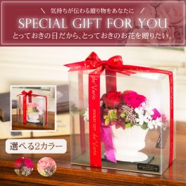 [デバリエ] hp-2 プリザーブドフラワー バラ 誕生日プレゼント 女性 フラワー ギフトフラワーアレンジメント 贈り物 彼女 枯れない花 開店祝い 新築祝い 記念日 オリジナル商品 