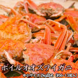 訳ありボイルオオズワイガニ姿 中小サイズ 2kg詰 約6-13尾入