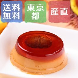 【送料無料】銀座千疋屋 銀座マロンプリン 6個入り【誕生日 結婚祝い 出産祝い 還暦祝い 結婚記念日 送別会 お祝い 引越し祝い 新築祝い 初節句 古希 喜寿 傘寿 お返し 内祝い お見舞い 快気祝い 金婚式 銀婚式 パーティー 景品 賞品 グルメ 母 父 女性 男性 両親 友達 親戚 上司 先輩 後輩 家族 子供 大人 彼氏 彼女 夫婦】【敬老の日 残暑見舞い】