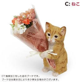 【プレゼント ギフト】 CT ミニョンブーケ ねこ 【有料ラッピングサービス選べます】