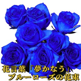 ブルーローズ 花束 青いバラ 青薔薇 お祝い プロポーズ 誕生日 記念日 開店祝い 男性向け プレゼント サムライブルー 本数追加 かすみ草