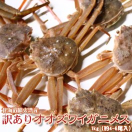 オオズワイガニ メス 活 訳あり 北海道産 1kg（約4−6尾入） 身入り7分前後 送料無料 ※沖縄送料別途加算