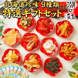 ギフト おつまみ 珍味【北海道.9種類の珍味詰め合わせギフトセット.】高級 豪華  個別包装 お取り寄せグルメ セット 詰め合わせ プレゼント 送料無料 母の日 父の日 御中元 敬老の日 御歳暮 誕生日 内祝い 海産物 食品 食べ物 乾物 【K03】 【K】